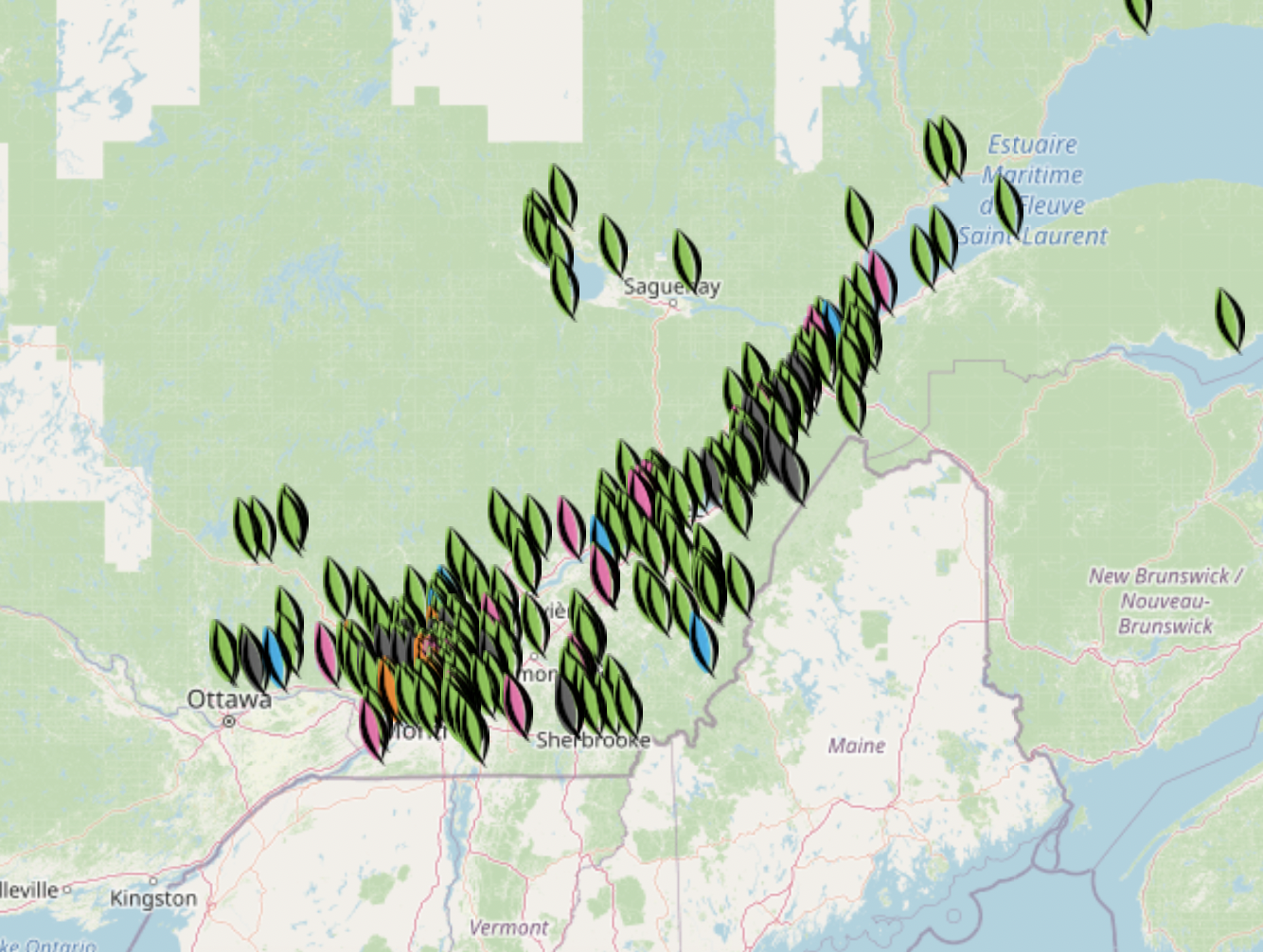 Carte des projets de reboisement