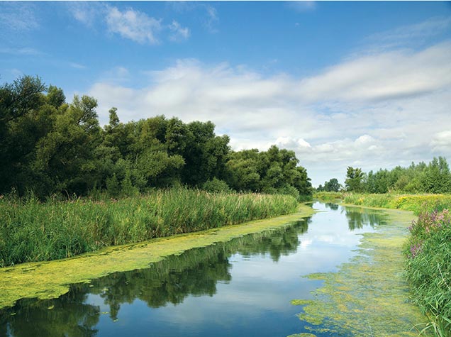 Carbone riverain