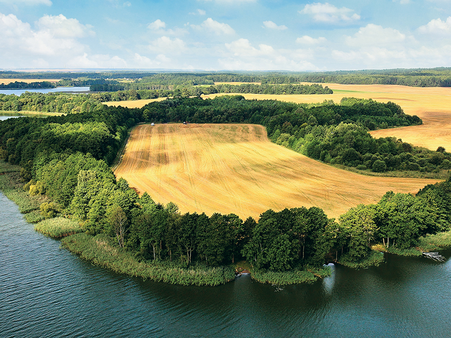 Carbone riverain
